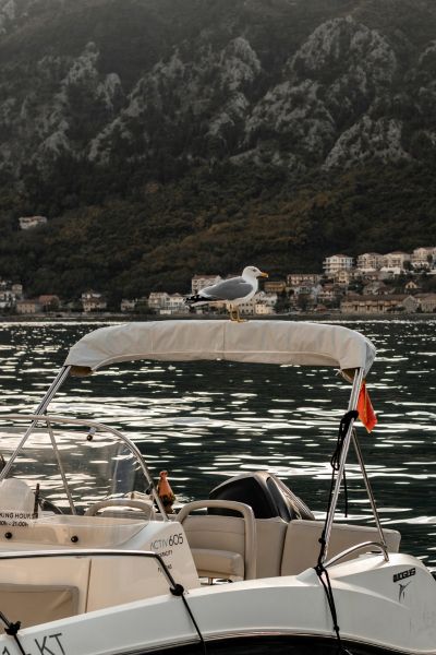 Portada vertical naupro cuida de tu barco en Alicante